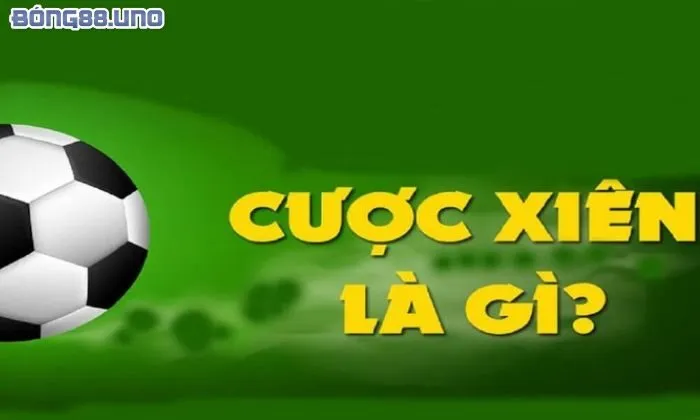 Giới thiệu kèo cược xiên bóng đá