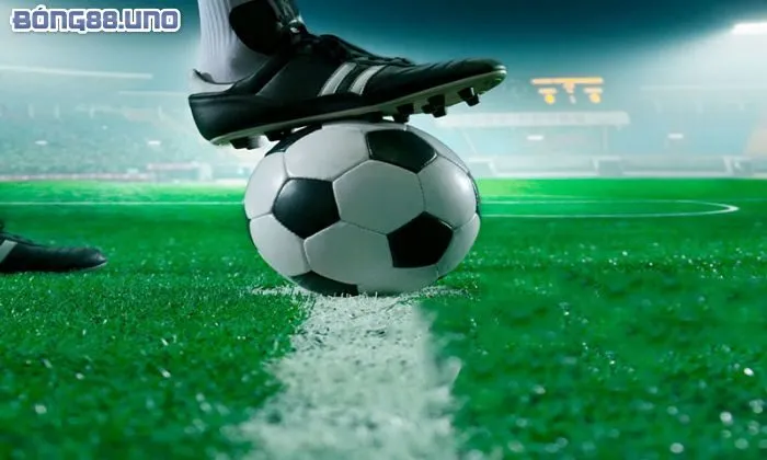 Cách hoạt động của kèo 1.25 dễ hiểu tại Bong88