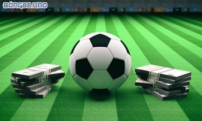 kèo 3.25 là gì Cách đọc kèo 3.25 cho người mới