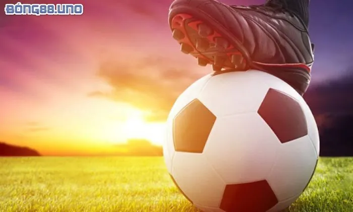 Cân nhắc đến các yếu tố ngoại cảnh có thể ảnh hưởng tới kèo cược 