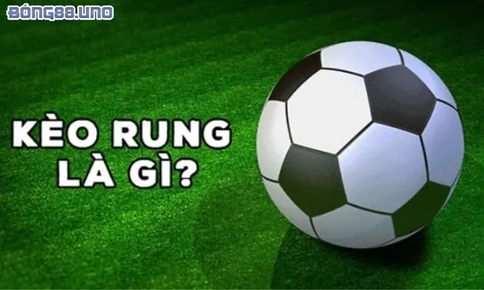 Giải đáp kèo rung là thế nào