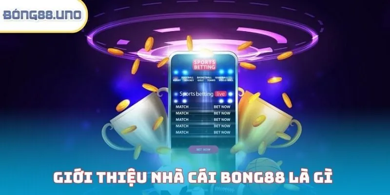 Giới thiệu sân chơi Viva Bong88